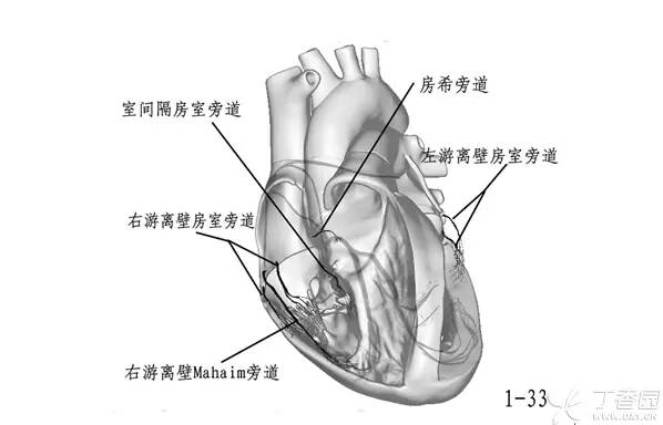 qw30.jpg