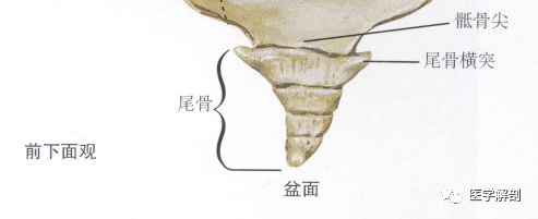 43ff5928d5115edffbb24433a57ba403.png