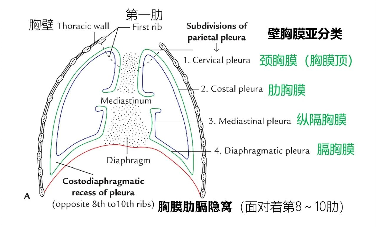 22d615a1653ffd51b26a4b4a846070cc.png