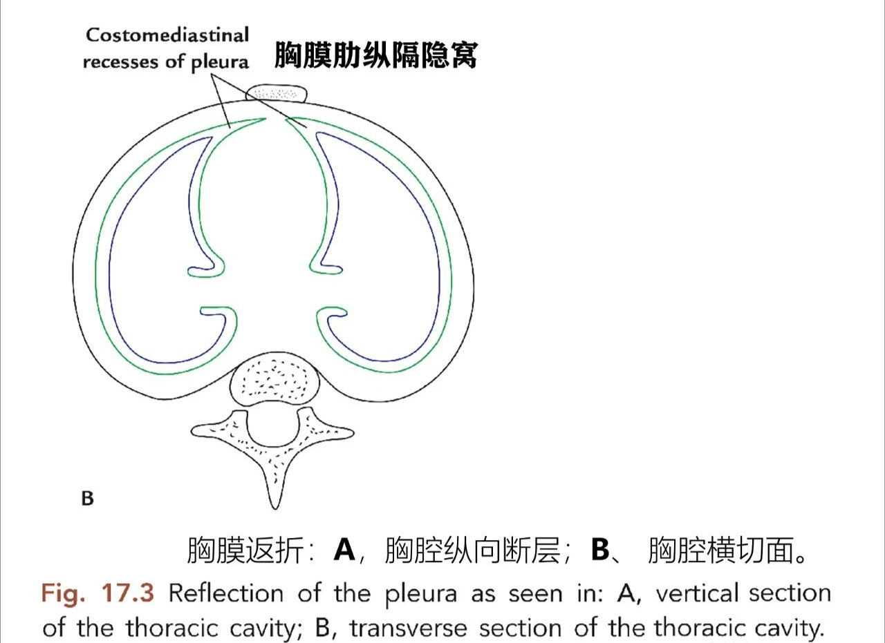 51e0d676125ef973088a468d5e1c4e2d.png