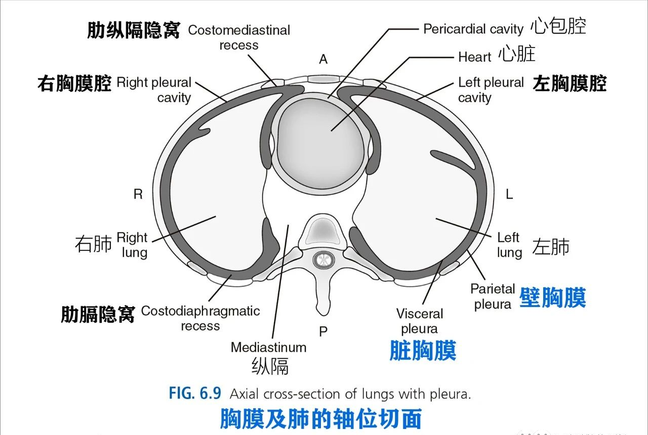 46676d2102d22730eeee2a1ef9138069.png