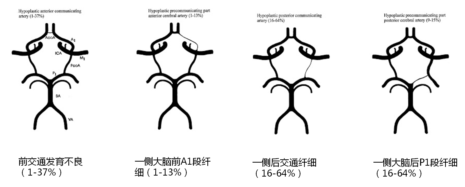 cb90cd44a4ba48893e460e5b774cdb27.png