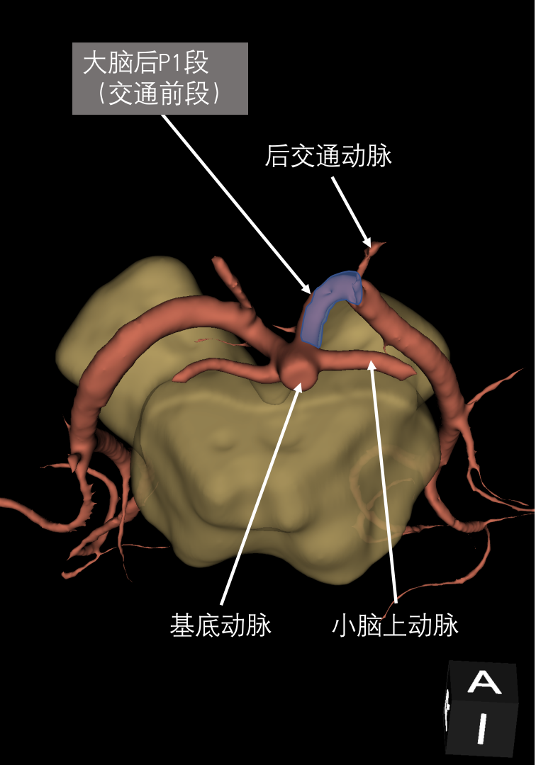 2d0724fe3ca3c0122c51b8451f731fec.png