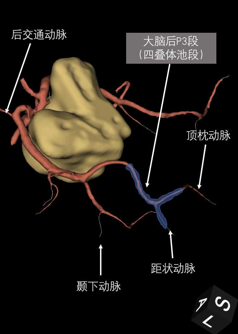 066cc1ef7424e540ff46a42024bcb2f5.png
