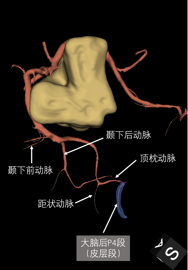43ce2ccfe3738bea8330358ede16e9f8.png