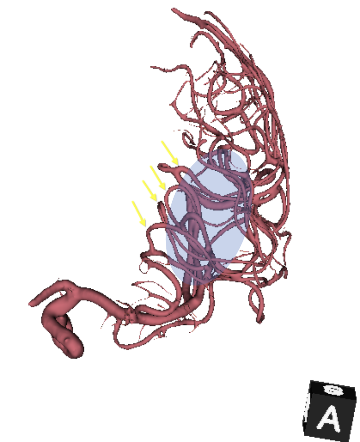 f95267195fd274a20f6086450e6bfd9f.png