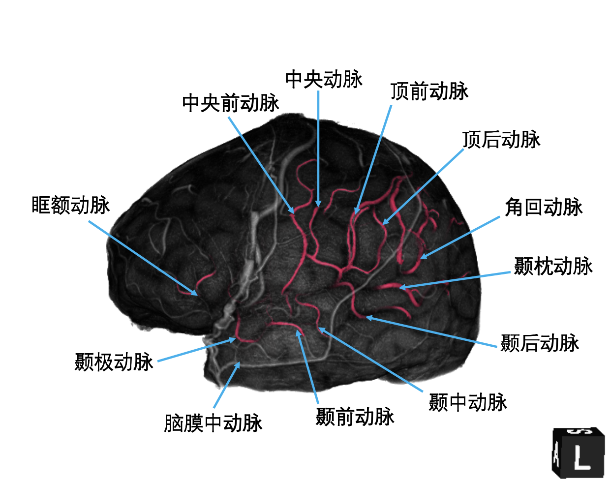 07438b847b51b246abfd8ae25e163997.png