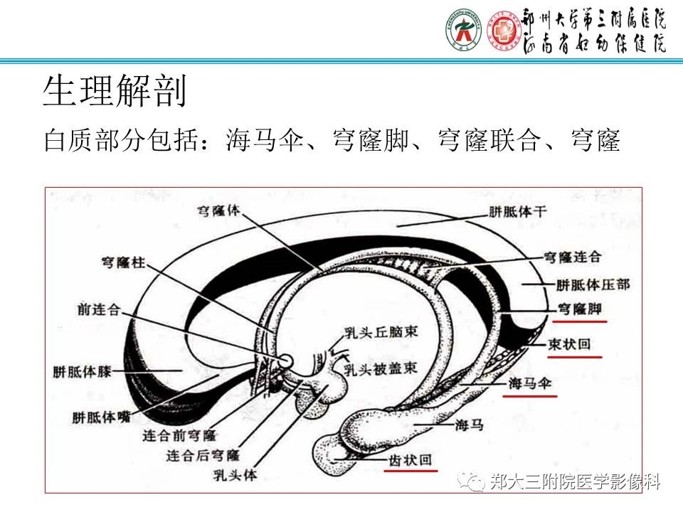 a679775499a5e1fb78382d416fbef963.jpg